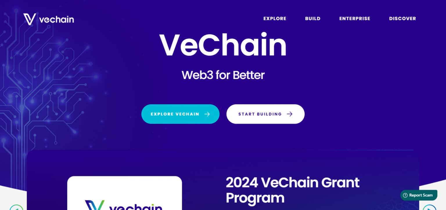 VeChain Crypto Review: A Comprehensive Guide to VeChain in 2025