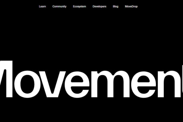 Movement Coin: A Revolutionary Digital Asset in the Crypto Space