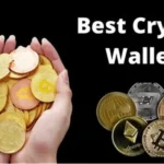 8 Best in Crypto Wallet for Color Prediction Gamers: Fast Payouts, Daily Rewards