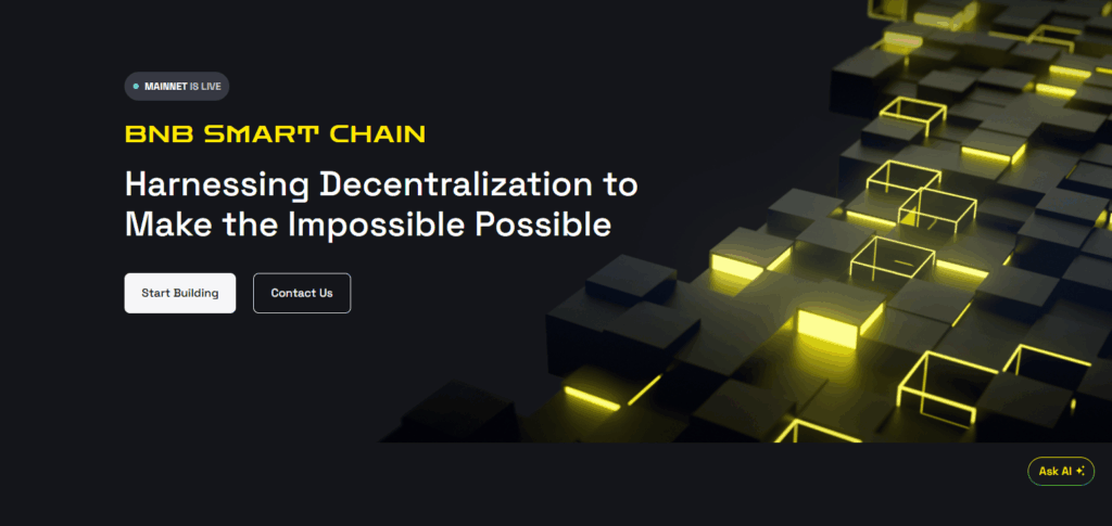 What is Binance Smart Chain?