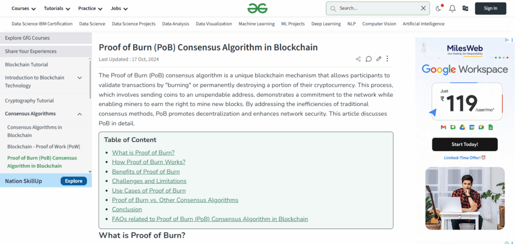 10 Understanding Blockchain Consensus Mechanisms Explained 8 Proof of Burn (PoB)