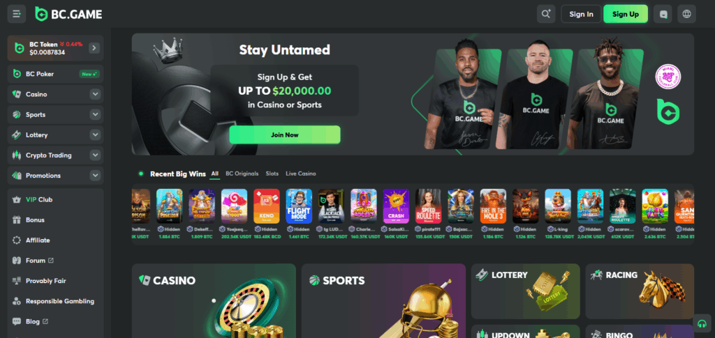 10 Top Metawin Casino Alternatives for Crypto Gaming 2 BC.Game