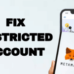 How to Fix MetaMask Issues in Restricted Regions