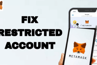 How to Fix MetaMask Issues in Restricted Regions