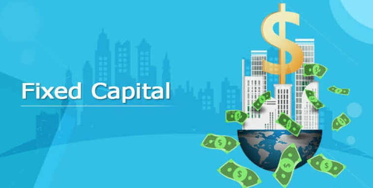 8 Best Crypto Tokenomics Strategies for Sustainable Growth 2 Fixed Supply Cap